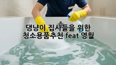 🐶🐱 댕냥이 집사들을 위한 #청소용품추천! (feat. 영월) ✨